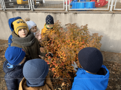 większy obrazek nr 2