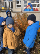 większy obrazek nr 3