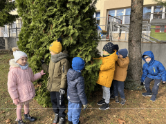 większy obrazek nr 5