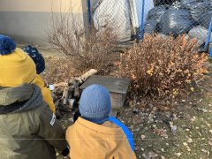 większy obrazek nr 6