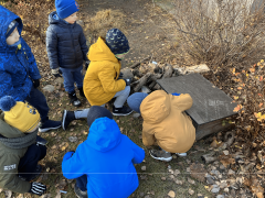 większy obrazek nr 7