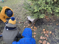 większy obrazek nr 8