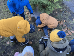 większy obrazek nr 9