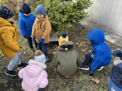 większy obrazek nr 10