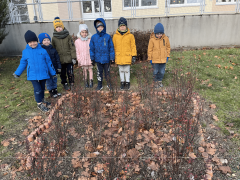 większy obrazek nr 11