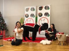 ilustracja do wpisu 
,,PUCHATA RADOŚĆ W MISIACH"