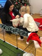 większy obrazek nr 41