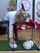 większy obrazek nr 51