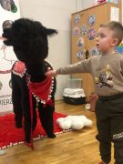 większy obrazek nr 57