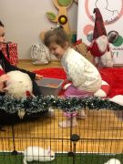 większy obrazek nr 62