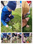 większy obrazek nr 5