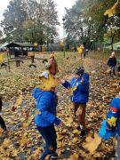 większy obrazek nr 6