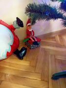 większy obrazek nr 8