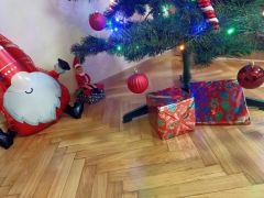 większy obrazek nr 12