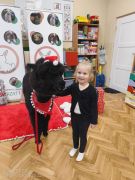 większy obrazek nr 3