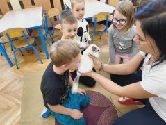 większy obrazek nr 5