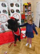 większy obrazek nr 2