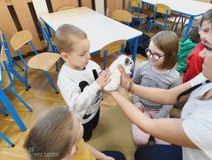 większy obrazek nr 39