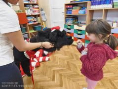 większy obrazek nr 47