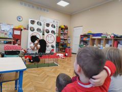 większy obrazek nr 40