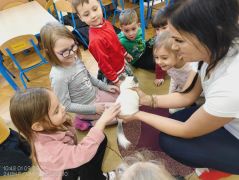 większy obrazek nr 48