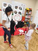 większy obrazek nr 7