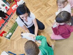 większy obrazek nr 51