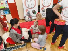 większy obrazek nr 42