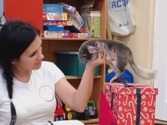 większy obrazek nr 33