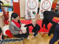 większy obrazek nr 14