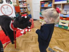 większy obrazek nr 56