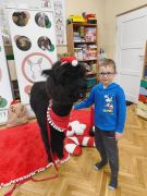 większy obrazek nr 43