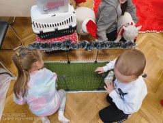 większy obrazek nr 15