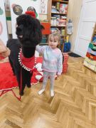 większy obrazek nr 57