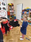 większy obrazek nr 52