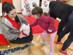 większy obrazek nr 53