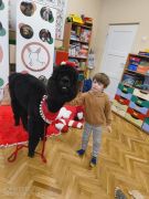 większy obrazek nr 17