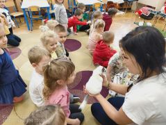 większy obrazek nr 20