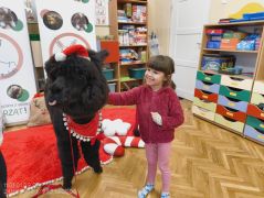 większy obrazek nr 24