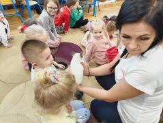 większy obrazek nr 26