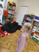 większy obrazek nr 60