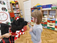 większy obrazek nr 45