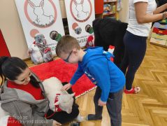 większy obrazek nr 62