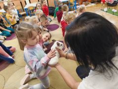 większy obrazek nr 50