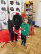 większy obrazek nr 37