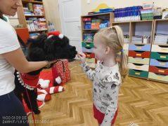 większy obrazek nr 65