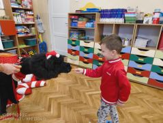 większy obrazek nr 66