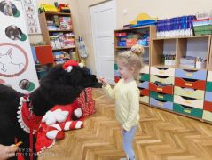 większy obrazek nr 67