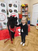 większy obrazek nr 69