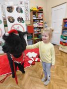 większy obrazek nr 73